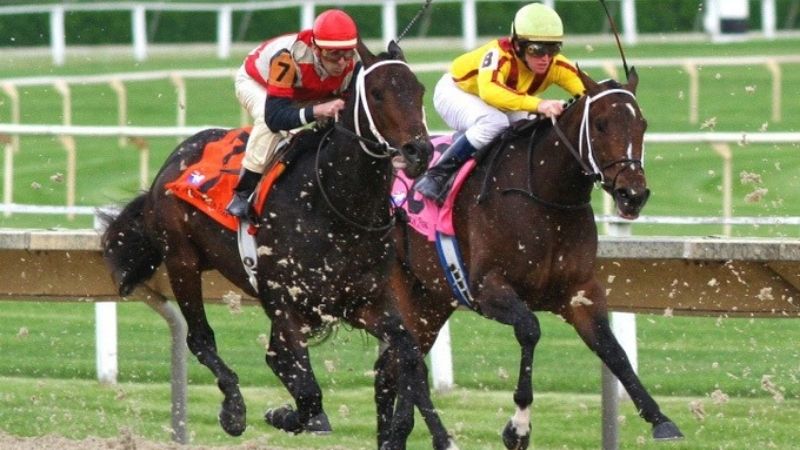 32win Sân chơi cá cược trực tuyến đẳng cấp số 1 hiện nay